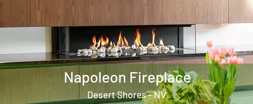 Napoleon Fireplace Desert Shores - NV