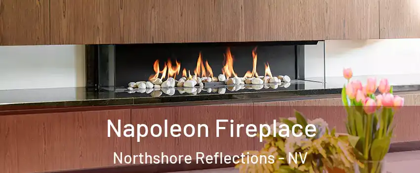 Napoleon Fireplace Northshore Reflections - NV