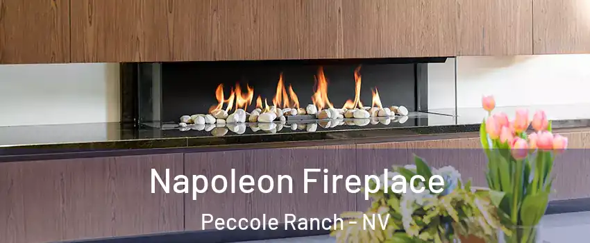 Napoleon Fireplace Peccole Ranch - NV