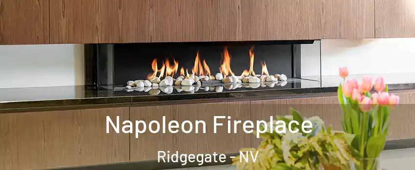 Napoleon Fireplace Ridgegate - NV