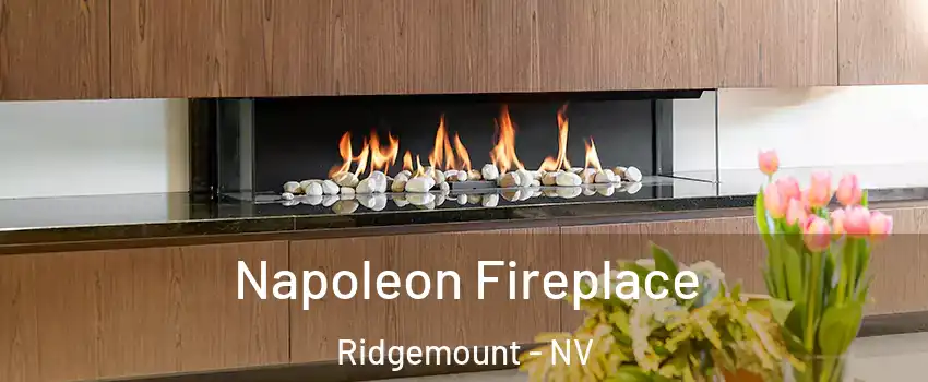 Napoleon Fireplace Ridgemount - NV