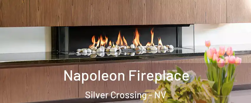 Napoleon Fireplace Silver Crossing - NV