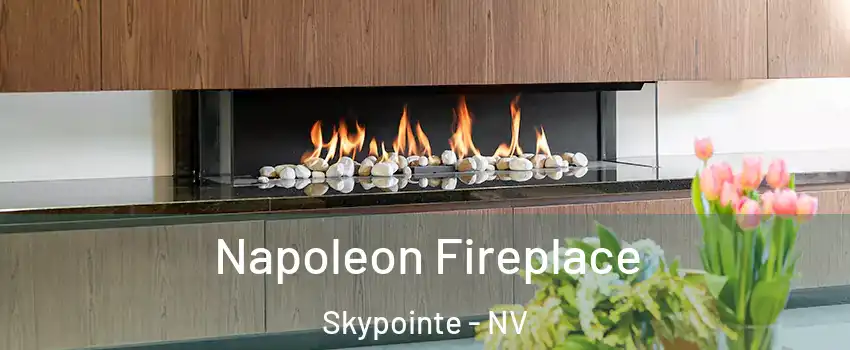 Napoleon Fireplace Skypointe - NV