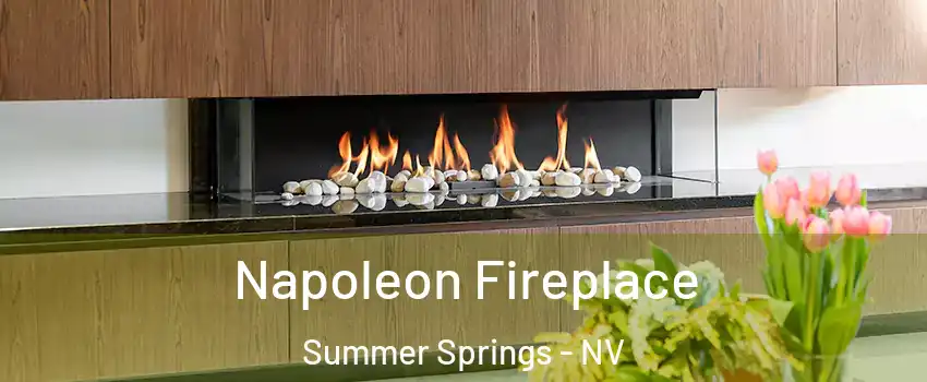 Napoleon Fireplace Summer Springs - NV