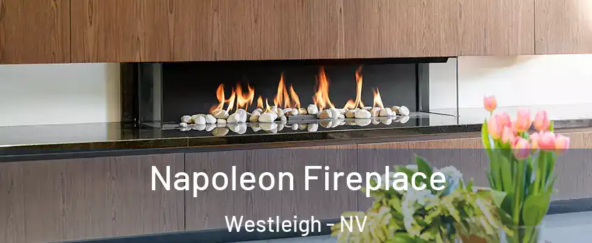 Napoleon Fireplace Westleigh - NV