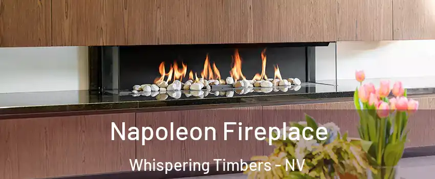 Napoleon Fireplace Whispering Timbers - NV