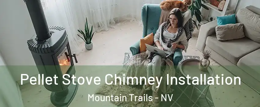 Pellet Stove Chimney Installation Mountain Trails - NV