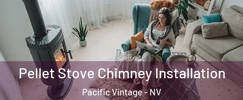 Pellet Stove Chimney Installation Pacific Vintage - NV