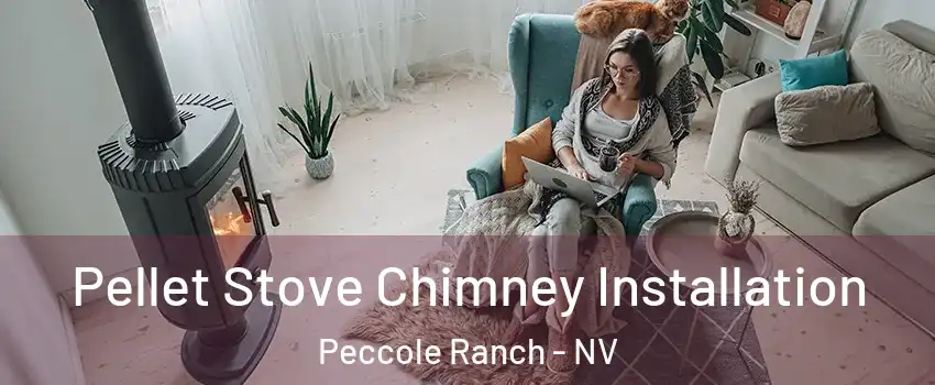 Pellet Stove Chimney Installation Peccole Ranch - NV