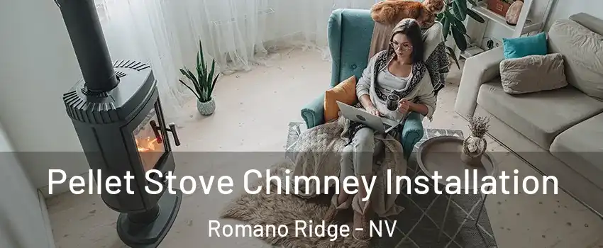 Pellet Stove Chimney Installation Romano Ridge - NV