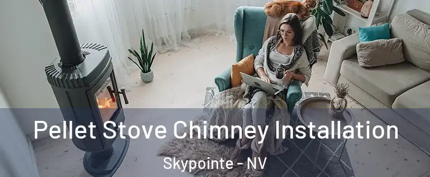 Pellet Stove Chimney Installation Skypointe - NV