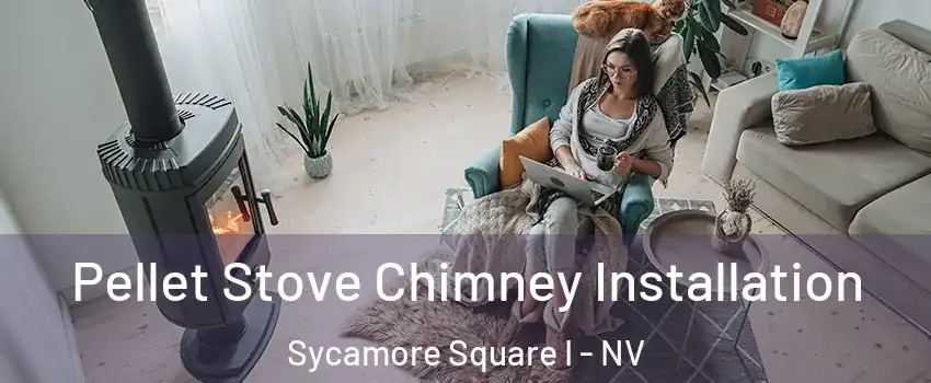 Pellet Stove Chimney Installation Sycamore Square I - NV