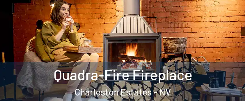 Quadra-Fire Fireplace Charleston Estates - NV