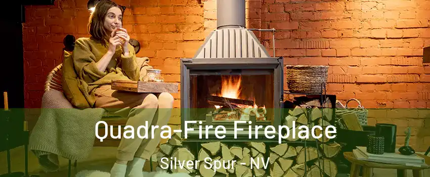 Quadra-Fire Fireplace Silver Spur - NV