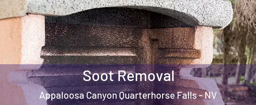 Soot Removal Appaloosa Canyon Quarterhorse Falls - NV