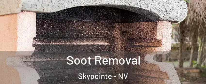 Soot Removal Skypointe - NV