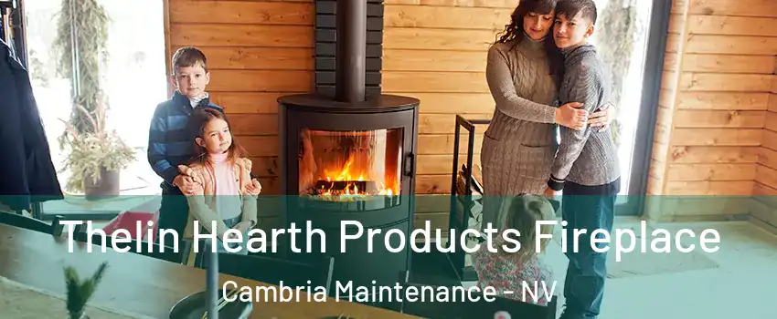 Thelin Hearth Products Fireplace Cambria Maintenance - NV