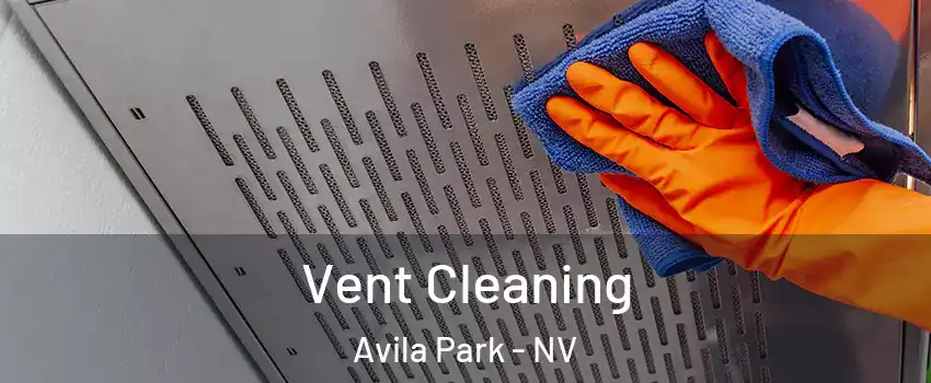 Vent Cleaning Avila Park - NV