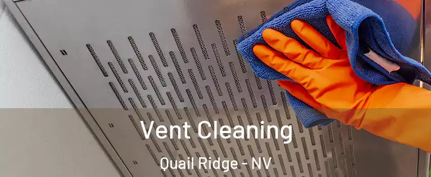 Vent Cleaning Quail Ridge - NV