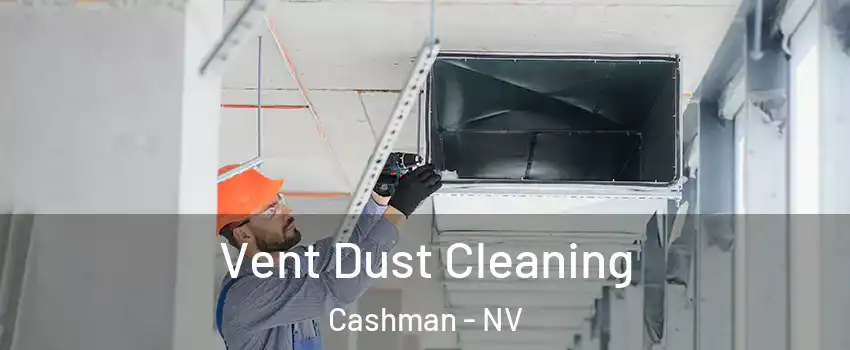 Vent Dust Cleaning Cashman - NV