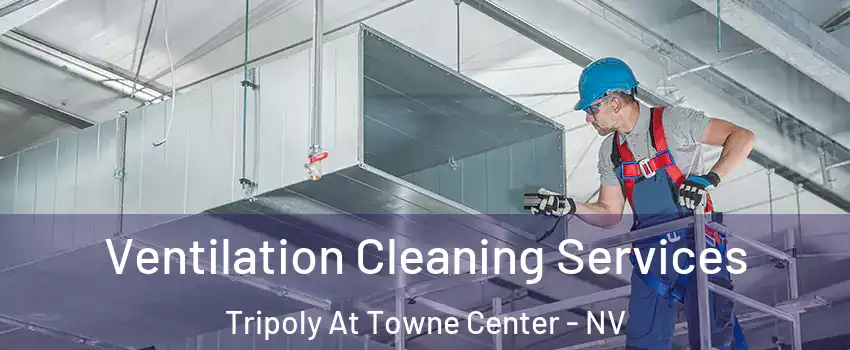 Ventilation Cleaning Services Tripoly At Towne Center - NV