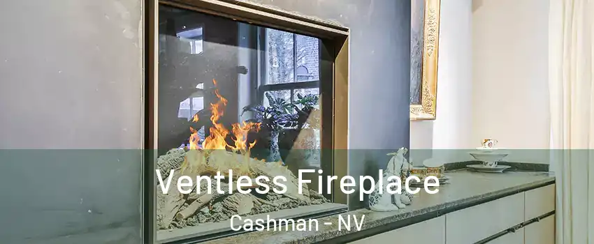 Ventless Fireplace Cashman - NV