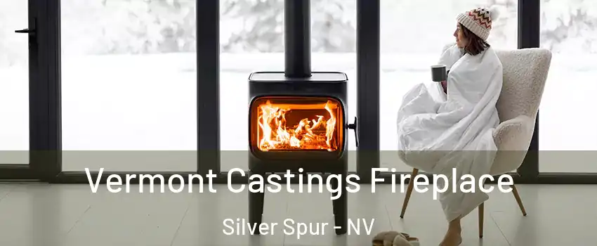 Vermont Castings Fireplace Silver Spur - NV