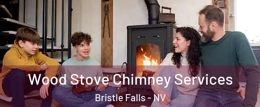 Wood Stove Chimney Services Bristle Falls - NV