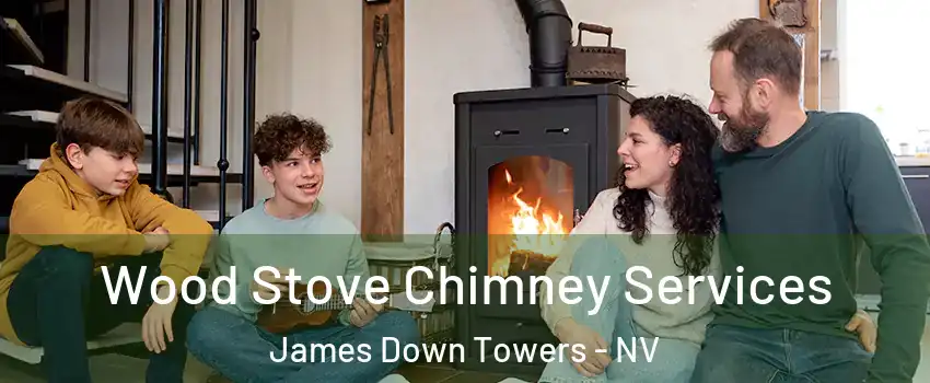 Wood Stove Chimney Services James Down Towers - NV